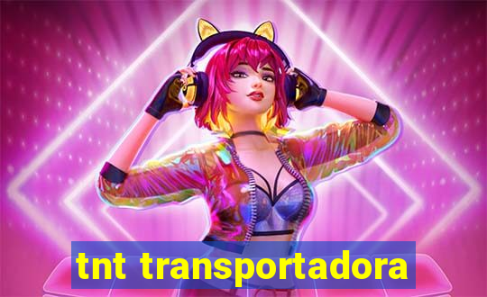 tnt transportadora